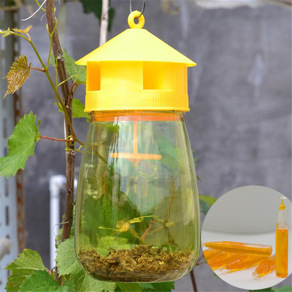 1 PCS Wasp Trap Fruit Fly Flies Insect Bug Hanging /fruit fly trap/homemade fruit fly trap