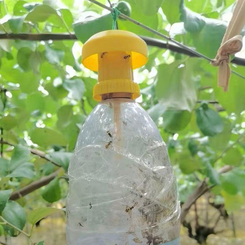 Fruit Fly Trap Killer Plastic Yellow Drosophila Trap Fly/fruit fly trap/homemade fruit fly trap