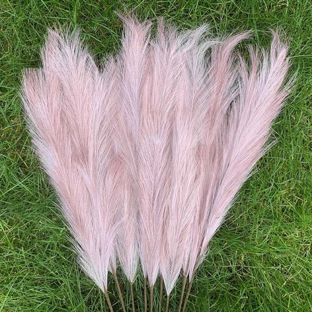 Pampas Grass Large Fluffy Tall Dried Grey Natural Home Decor/pampas grass/decorative pampas grass/pink pampas grass/pampas grass for sale/dried pampas grass