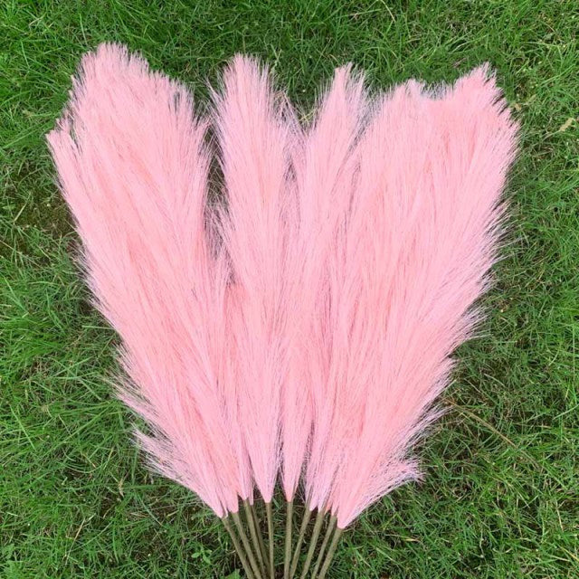 Pampas Grass Large Fluffy Tall Dried Grey Natural Home Decor/pampas grass/decorative pampas grass/pink pampas grass/pampas grass for sale/dried pampas grass