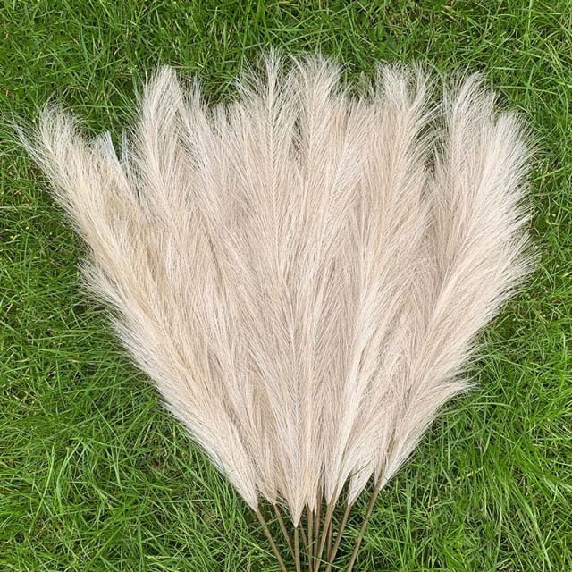 Pampas Grass Large Fluffy Tall Dried Grey Natural Home Decor/pampas grass/decorative pampas grass/pink pampas grass/pampas grass for sale/dried pampas grass