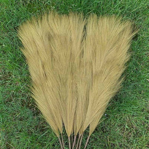 Pampas Grass Large Fluffy Tall Dried Grey Natural Home Decor/pampas grass/decorative pampas grass/pink pampas grass/pampas grass for sale/dried pampas grass