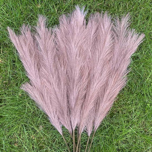 Pampas Grass Large Fluffy Tall Dried Grey Natural Home Decor/pampas grass/decorative pampas grass/pink pampas grass/pampas grass for sale/dried pampas grass