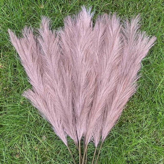 Pampas Grass Large Fluffy Tall Dried Grey Natural Home Decor/pampas grass/decorative pampas grass/pink pampas grass/pampas grass for sale/dried pampas grass